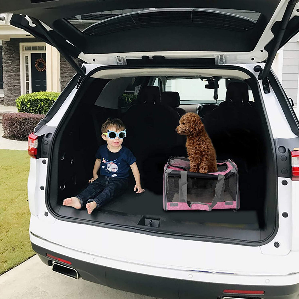 Soft-Sided Pet Carrier for Large and Medium Cats and Puppies
