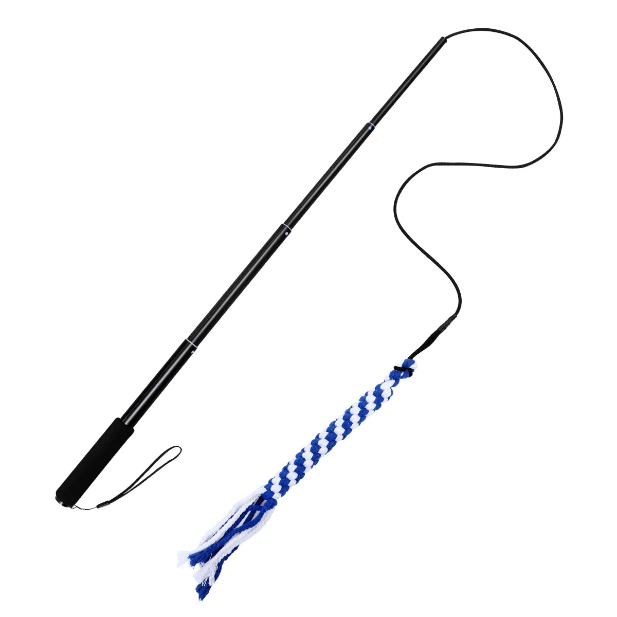 Telescopic Interactive Dog Teaser Toy with Camera - Extendable Flirt Pole for Puppies and Children