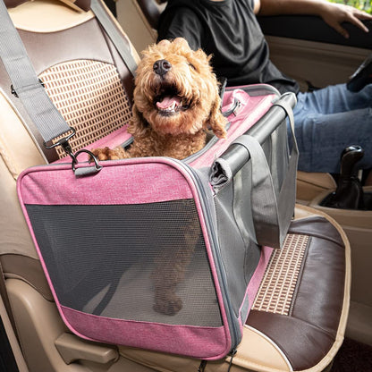Soft-Sided Pet Carrier for Large and Medium Cats and Puppies