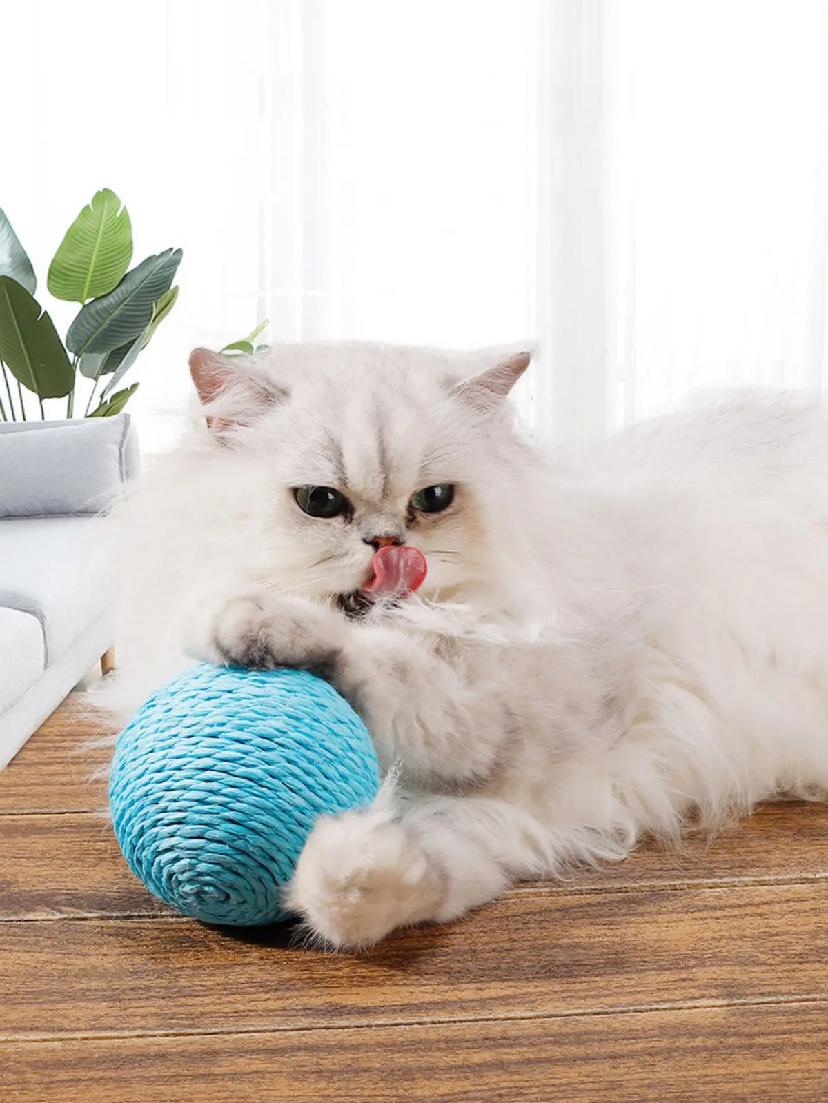 10CM Interactive Sisal Cat Scratching Ball Toy for Kitten Teeth Cleaning anti Bite Cat Ball Sounding Toy Pet Supplies