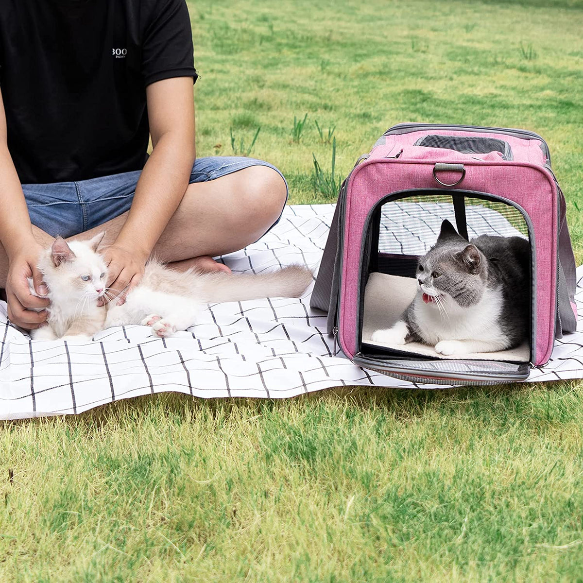 Soft-Sided Pet Carrier for Large and Medium Cats and Puppies