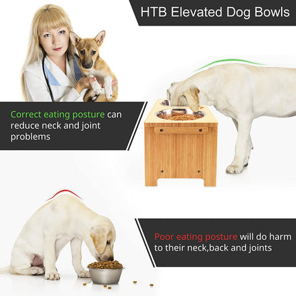 Elevated Dog Bowl Stand with Two Stainless Steel Bowls for Dogs of All Sizes