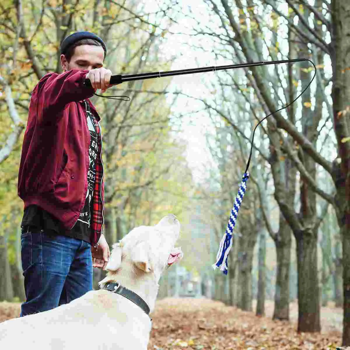 Telescopic Interactive Dog Teaser Toy with Camera - Extendable Flirt Pole for Puppies and Children
