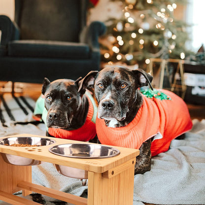 Elevated Dog Bowl Stand with Two Stainless Steel Bowls for Dogs of All Sizes